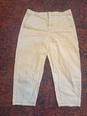 Everlane Barrel Utility pants